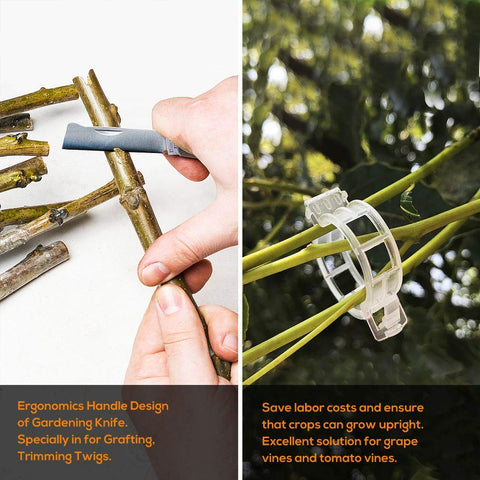 Demonstration of All In One Garden Grafting Tool Kit With Pruning Scissors For Fruit Trees U Graft V Graft Omega Graft Seedling