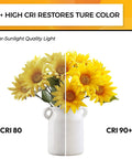 Image showing two sunflowers under different CRI lighting, illustrating the difference between CRI 80 and CRI 90+ lighting.