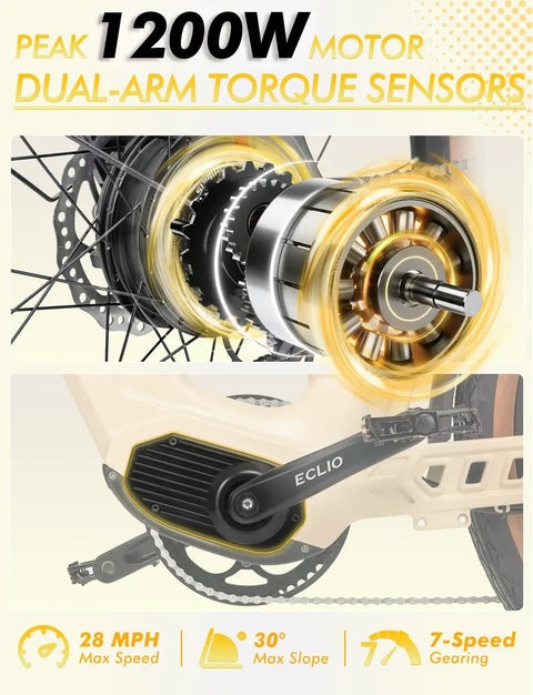 Close-up of 1200W peak motor with dual-arm torque sensors on adult electric bike with 960Wh dual battery, 26 inch carbon frame.