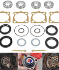 VW Rear IRS Bearing Kit With Seals For Both Rear Swing Axles Ready-To-Go Drop-In Repair For Type 1 Bug 1968-1979 components