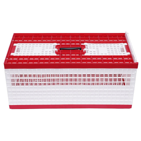 Foldable Plastic Transportation Pigeon Cage For Training And Racing 23.6 Inch Large Box With Three Access Doors And Ventilated Design Portable