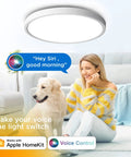 Smart LED Flush Mount Ceiling Light With HomeKit Siri Alexa Google Voice Control in a living room with a woman and dog