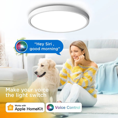 Smart LED Flush Mount Ceiling Light With HomeKit Siri Alexa Google Voice Control in a living room with a woman and dog