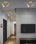Mid Century Modern 2 Light LED Track Lighting Kit With Dual Way Operation Gold Flush Mount Ceiling Spotlight In Brushed Brass