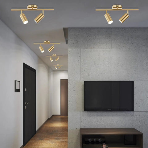 Mid Century Modern 2 Light LED Track Lighting Kit With Dual Way Operation Gold Flush Mount Ceiling Spotlight In Brushed Brass