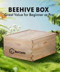 8 Frame Deep Brood Bee Hive Box For Langstroth Hives With Precut Dovetail Joints in garden setting, side view