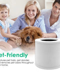 Family with dog and Replacement Filter For Levoit Core Mini Air Purifier, 3 In 1 H13 Grade Filtration With Activated Carbon