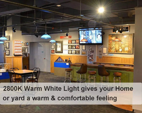 Straight Up Brightest Par38 Halogen Flood Light Bulbs 80W 120V 2800K Warm White Indoor Outdoor High Output Illumination For Kitchen Living Room No Sweat Setup Long Haul Workhorse