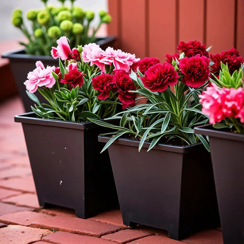 60 Pcs Square Nursery Pots 3 Inch Deep Plastic Seed Starter Germination Pots For Plants Succulents And Flowers Stackable