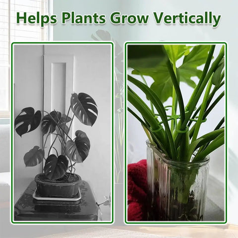 8 Piece Climbing Plant Stem Supports Kit With 4 Sizes Reusable Plastic Garden Stakes For Indoor Outdoor Plants Flower Growth Accessories Stem Holders For Thriving Growth