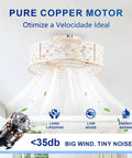 20" Low Profile Flush Mount Ceiling Fan with Remote, Vintage White Floral Caged Ceiling Fan Light with Pure Copper Motor.