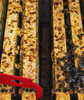 Stainless Frame Lifter And Scraper J Hook Hive Tool Beekeeping Pry Bar 11 Inch near bee frames with bees and wax