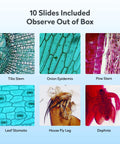 Digital Microscope 1200X USB With a 7 Inch Rotatable Screen for Kids and Adults, Easy to Share Observations in Classrooms and at Home, Compact Design That Makes Science Hands On and Fun. 10-slide sample view