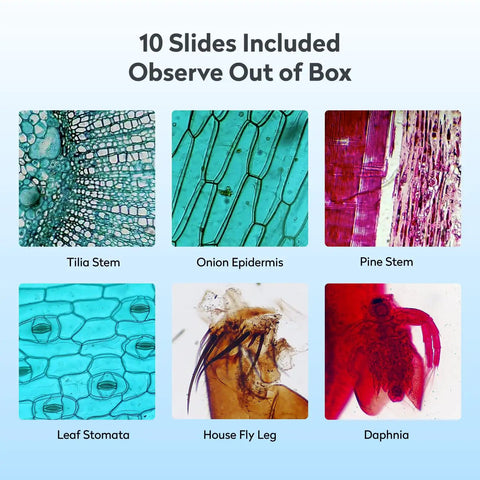 Digital Microscope 1200X USB With a 7 Inch Rotatable Screen for Kids and Adults, Easy to Share Observations in Classrooms and at Home, Compact Design That Makes Science Hands On and Fun. 10-slide sample view