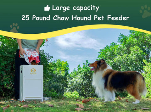 Heavy Duty Automatic Dog Feeder Holds A Ton Of Twenty Five Pounds Of Dry Kibble Rugged Galvanized Steel Outdoor Pet Bowl Station With Paw Pressed Door For Big Dogs Built Tough For Busy Parents in green outdoor setting.