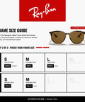 RB4306F Hexagonal Sunglasses With Light Havana Frame And Polarized B15 Brown Lenses For Men And Women size guide