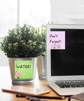 Image of desk with laptop and plant featuring 9 Pads Cute Sticky Notes Set 3x3 Self Stick Notepads for Teachers and Office Super Cute Kawaii Memo Pads