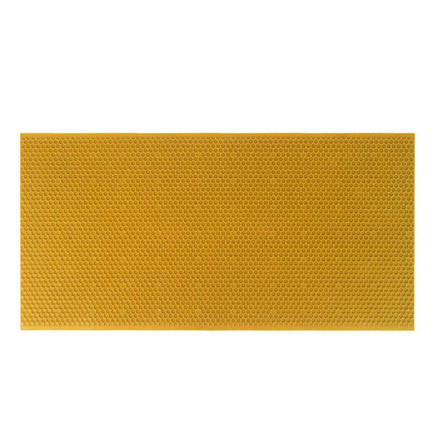 Single sheet of Beekeeping Essentials Waxed Foundation Sheets 8.5 Inch Deep, beeswax-coated plastic, showing honeycomb texture