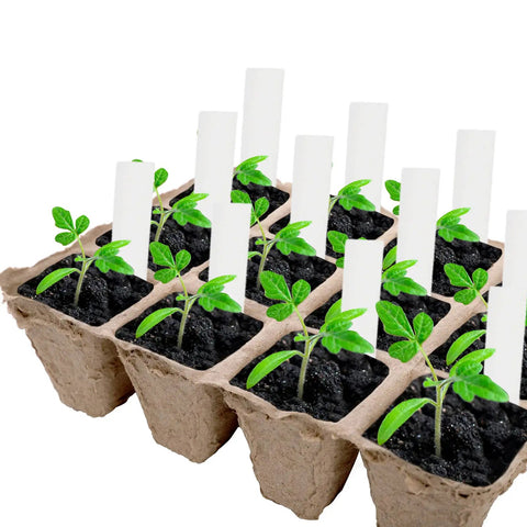 40 Pack Seed Starter Trays With 480 Cells Biodegradable Peat Pots Made From Paper And Grass Charcoal, Eco Friendly Germination Tray Kit