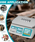Heavy Duty Digital Counting Scale Delivers Point One Gram Precision Alongside Thirty Three Pound Capacity with coins and jewelry sorted.
