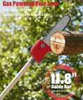 Gas Powered Pole Saw With 16 Ft Reach No Ladder Needed 3.5 HP 48cc Engine 11.8 Inch Bar Pro Chainsaw For Tall Trees Trimming
