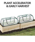 Pack Of 2 Garden Bed Covers 45 By 22 By 16 Inches Plastic Mini Greenhouses on wooden raised beds for seedling growth