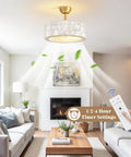 17.7Inch Shell Fandelier Ceiling Fan with Light,Boho Caged Chandelier Fan in modern living room, gold frame and shell shade.