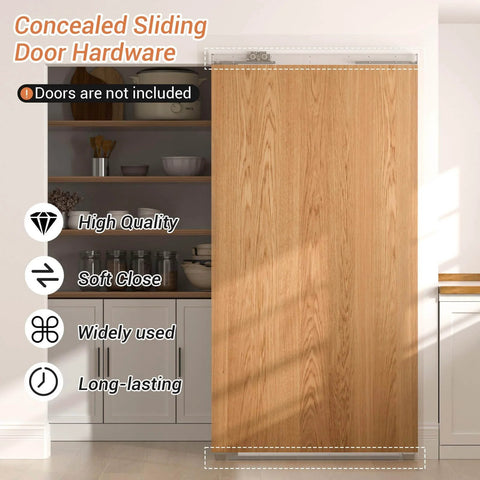 Concealed 38 Inch Sliding Barn Door Hardware Kit With Soft Close Aluminum Hidden Track System, wall mount, installed example