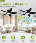 No Sweat When You Run This Ace 42 Inch Low Profile Flush Mount Ceiling Fan With Smart Lighting Remote Control and Six Speeds in room.