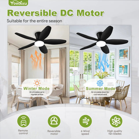 No Sweat When You Run This Ace 42 Inch Low Profile Flush Mount Ceiling Fan With Smart Lighting Remote Control and Six Speeds in room.