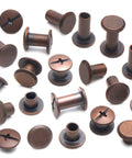 Heavy Duty Chicago Screws And Leather Rivets 110 Set Kit With Install Tools For Crafting Belts Bags Shoes Bookbinding Antique Copper assorted fasteners.
