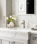 Halle Spot Resist Brushed Nickel One Handle Bathroom Sink Faucet With Optional Deck Plate Aerated Water Flow Flexible 1 Or 3 Hole Installation
