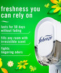 Plug In Air Freshener Starter Kit With Odor Fighting Scented Oils Warmer Plus Two Refills, Gain Original Scent socket view