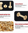 Premium Brass Chicago Binding Screws 4mm X 18mm With 10mm Phillips Nuts 25 Piece Hella Durable for smooth leather craft projects.
