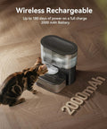 Cat drinking from black Wireless Cat Water Fountain With No Filters And Wastewater Separation, 3.5L Stainless Steel Bowl, on wood floor