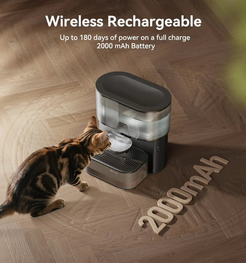 Cat drinking from black Wireless Cat Water Fountain With No Filters And Wastewater Separation, 3.5L Stainless Steel Bowl, on wood floor