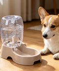 Set It And Forget It Gravity Pet Waterer Keeps Your Pooch Fully Hydrated With Large Capacity Plastic Bowl Featuring Non Slip Base And Whisper Quiet Auto Refill For Dogs And Cats In Beige next to a corgi.