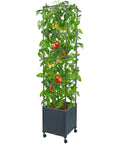 Raised Garden Bed Planter With Trellis For Climbing Veggies And Tomatoes, Outdoor Tomato Cage On Wheels, 56.7 Inch Tall Grow Box