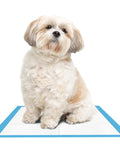 Super Absorbent Disposable Underpads And Incontinence Bed Pads 23 X 36 Inch With No Sweat Moisture Lock Core Keeps You Covered Day And Night For Adults Kids And Fur Babies Worth Every Cent Bulk Bundle Of 300 with a fluffy dog sitting on it.