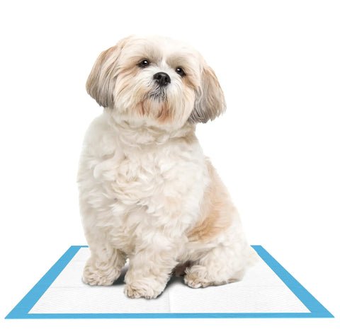 Super Absorbent Disposable Underpads And Incontinence Bed Pads 23 X 36 Inch With No Sweat Moisture Lock Core Keeps You Covered Day And Night For Adults Kids And Fur Babies Worth Every Cent Bulk Bundle Of 300 with a fluffy dog sitting on it.