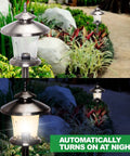 Low Voltage Outdoor Path Lights Set For Walkways And Gardens, Modern Luxury Stake Lights at day and night in garden