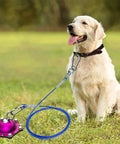 Heavy Duty Dog Tie Out Cable And Stake Kit With 360 Degree Swivel For No Tangle Runs 20 Ft Tie Out Cable For Dogs Up To 200 Lbs Ideal For Yard Outdoor Camping And Travel Rust Resistant Aluminum Stake in use with dog in yard