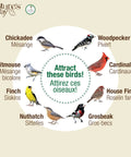 Illustration showing different birds attracted by the Blue Metal Mesh Bird Feeder With 360 Degree Easy Cling Mesh For Mixed Seed And Peanuts.