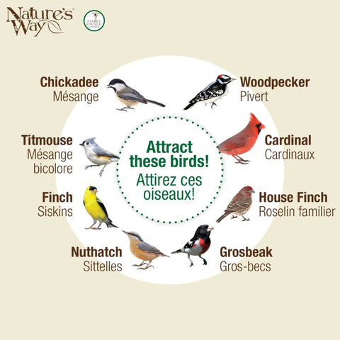 Illustration showing different birds attracted by the Blue Metal Mesh Bird Feeder With 360 Degree Easy Cling Mesh For Mixed Seed And Peanuts.