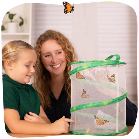 Raise And Release Butterfly Garden Kit For Kids And Classrooms With Caterpillar Habitat voucher, reusable mesh habitat, kids observing