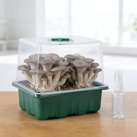 4 Pack Monotub Mushroom Growing Kit For Home Cultivation With 6.5 By 5 By 6.5 Inch Boxes And Included Spray Bottle Rotatable Top Design