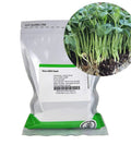 Speckled Pea Sprouting Seeds 5 Lbs High Germination Rate Organic Non GMO Green Pea Sprout Seeds in a labeled bag