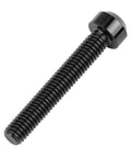 Black titanium M6 x 40mm screw with Torx square head