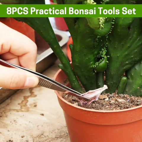 Hand using tweezers from 8 Piece Bonsai Tool Set With Pruners, Folding Scissors, Mini Rake, Tweezers And Spades, Bud And Leaf Trimmer For Precise Pruning And Plant Care, An All In One Kit For Hobbyists on potted plant