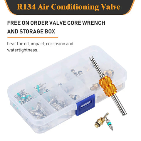 56 Piece R134a R12 AC Valve Core Kit With Quick Remover and storage box, showing valve cores and wrench